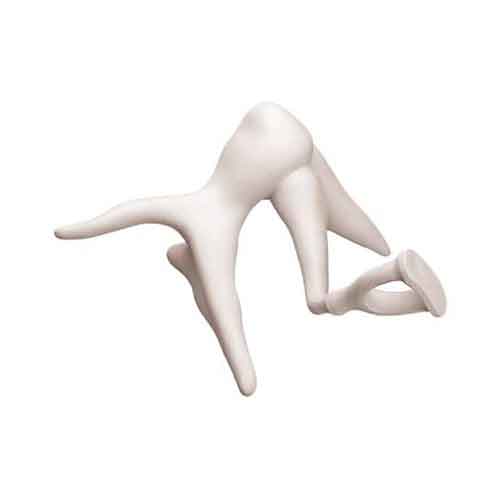 Mô hình Xương con Tai, phóng to 20 lần [SKU: MG29974]